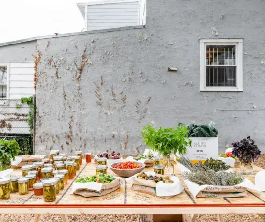 The Nicholson Project Garden