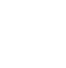 X icon