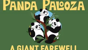 Panda Palooza