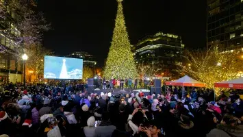 City Center Tree Lighting
