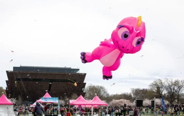 Blossom Kite Festival