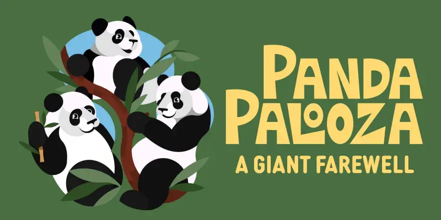 Panda Palooza.