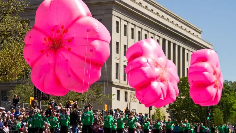 National Cherry Blossom Festival Parade