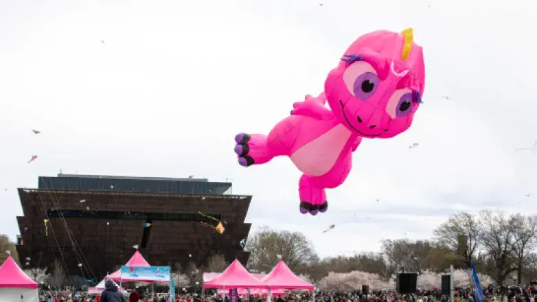 Blossom Kite Festival