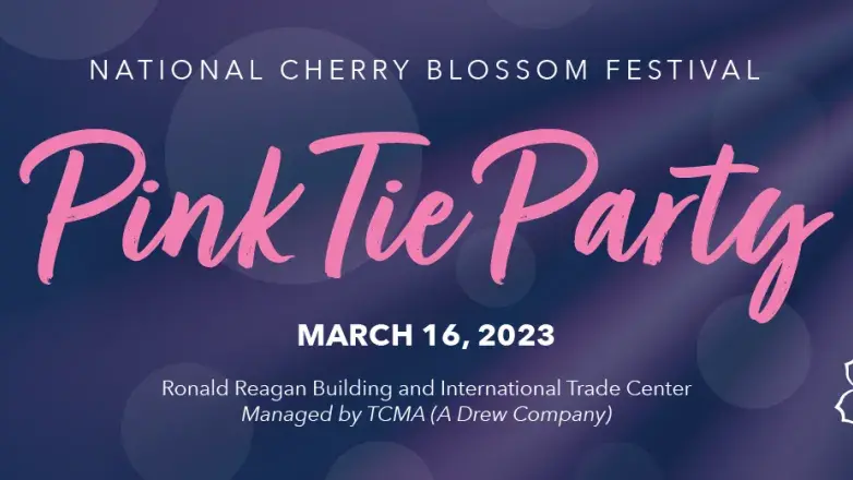 Pink Tie Party