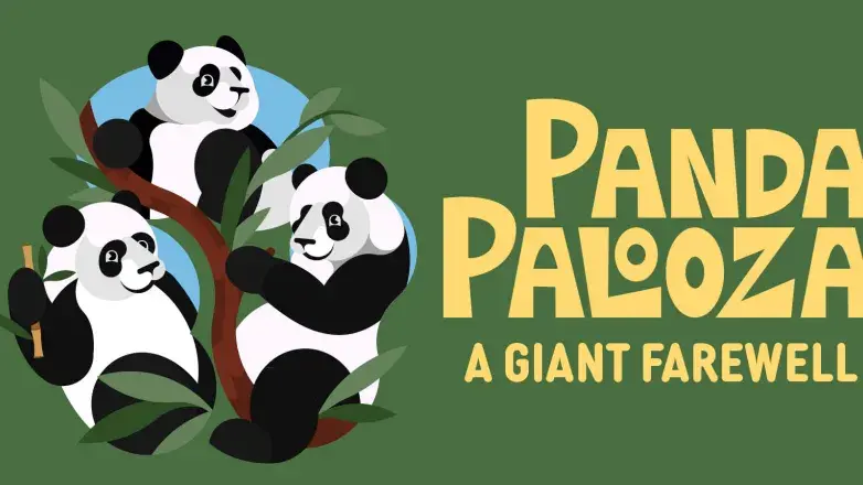 Panda Palooza.