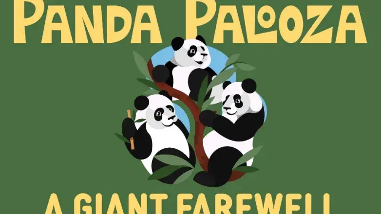 Panda Palooza